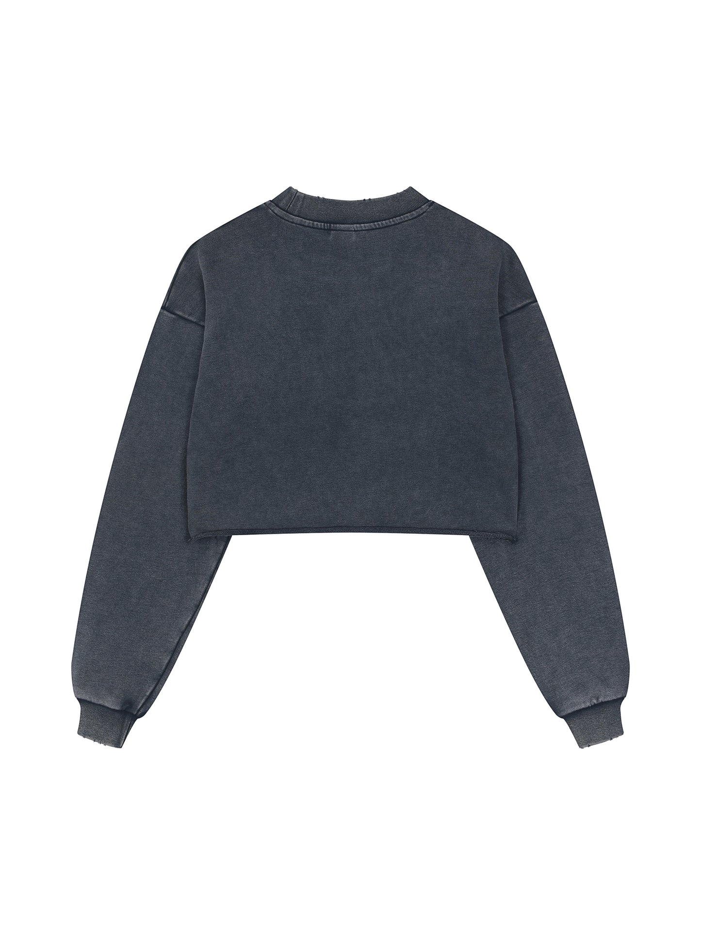 Snow Washed Raw Edge Cropped Sweatshirt
